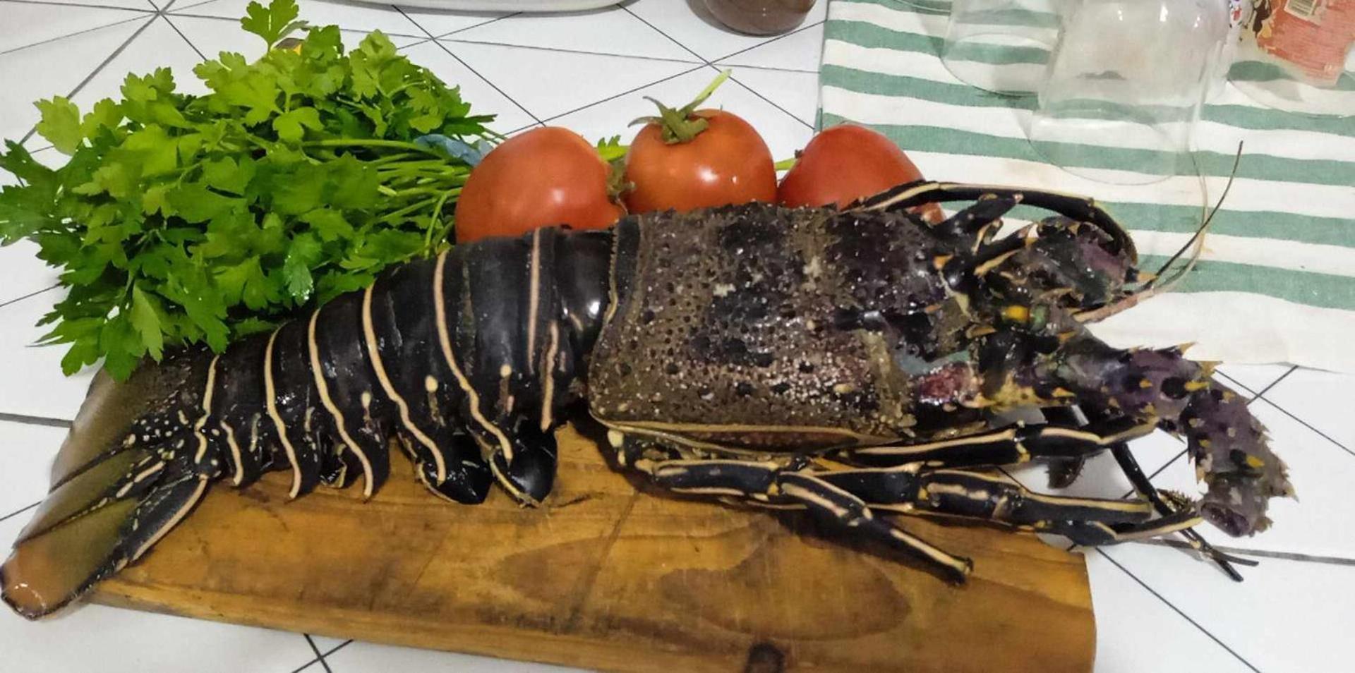 Kaza Papaya - Papaya House Διαμέρισμα Tarrafal  Εξωτερικό φωτογραφία